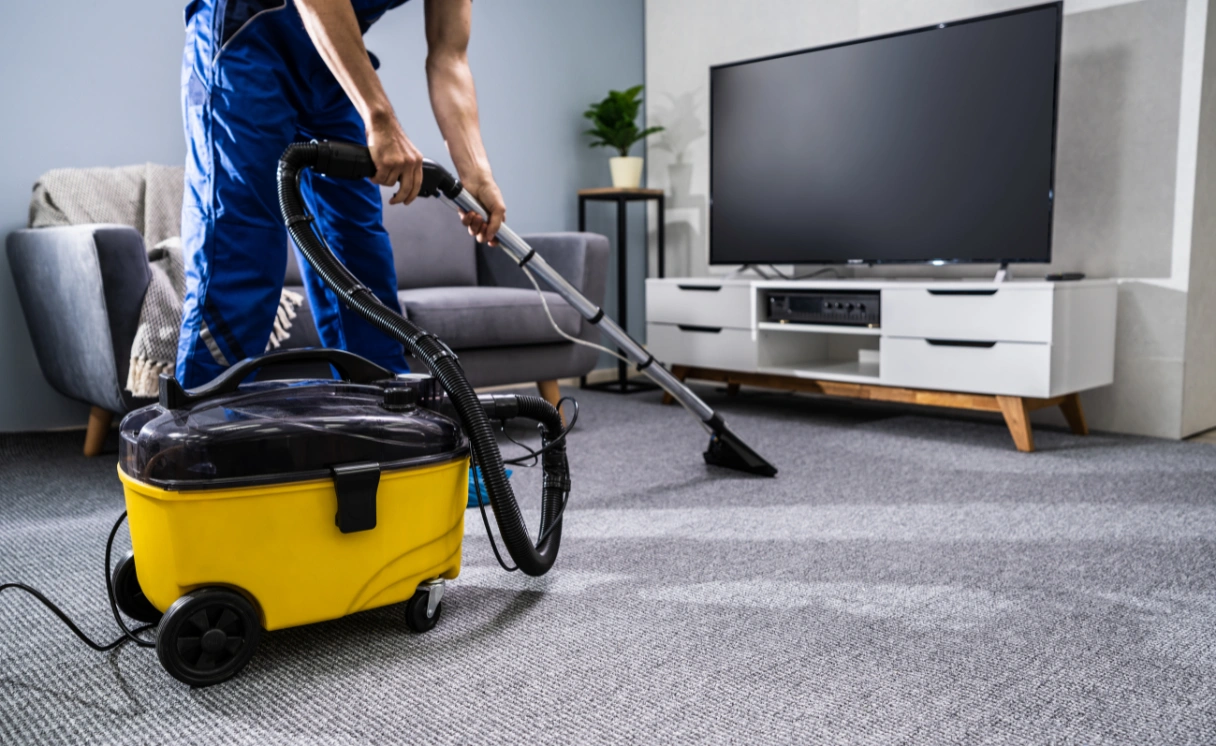 Extract Curtain Cleaning Bulleen Contact Office